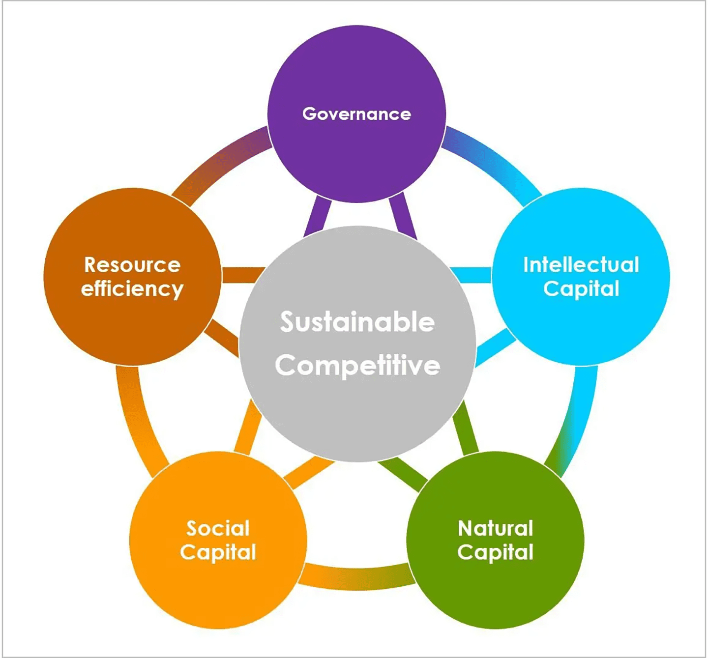 sustainable-competitiveness-model